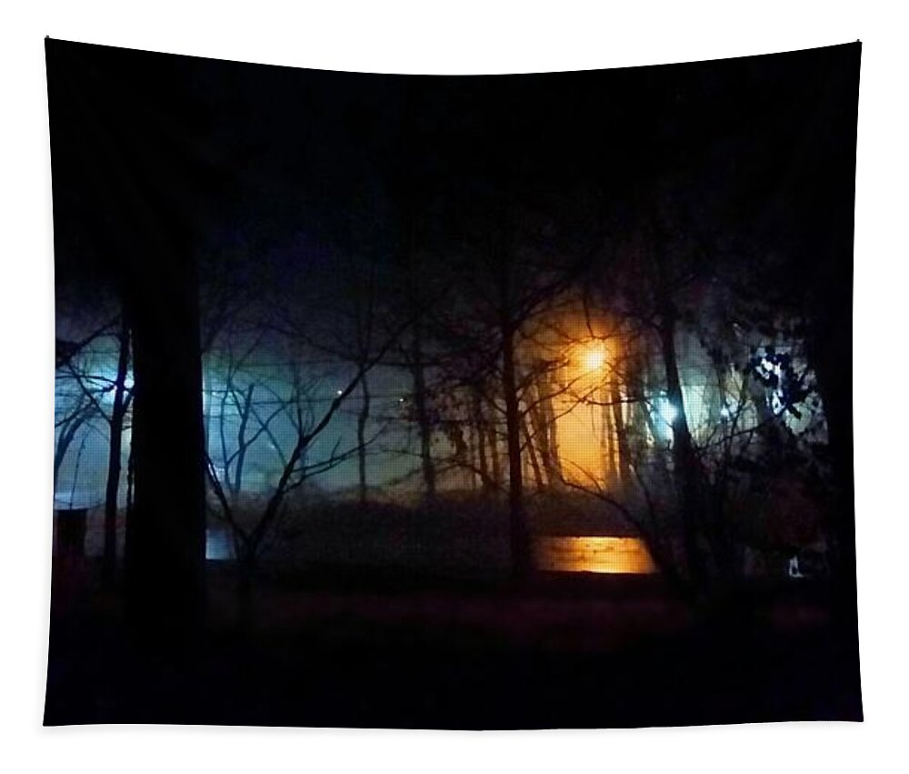 Weather Tapestry featuring the photograph Foggy January Night by Ally White