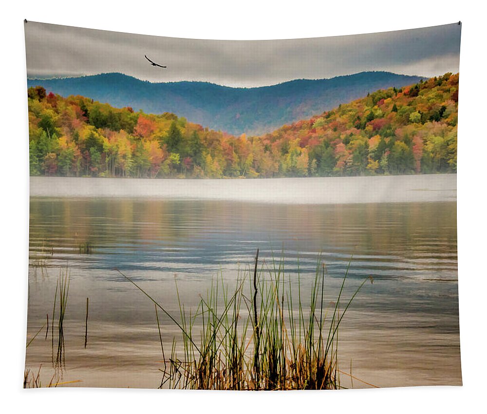 Fog Tapestry featuring the photograph Foggy Morning by Cathy Kovarik