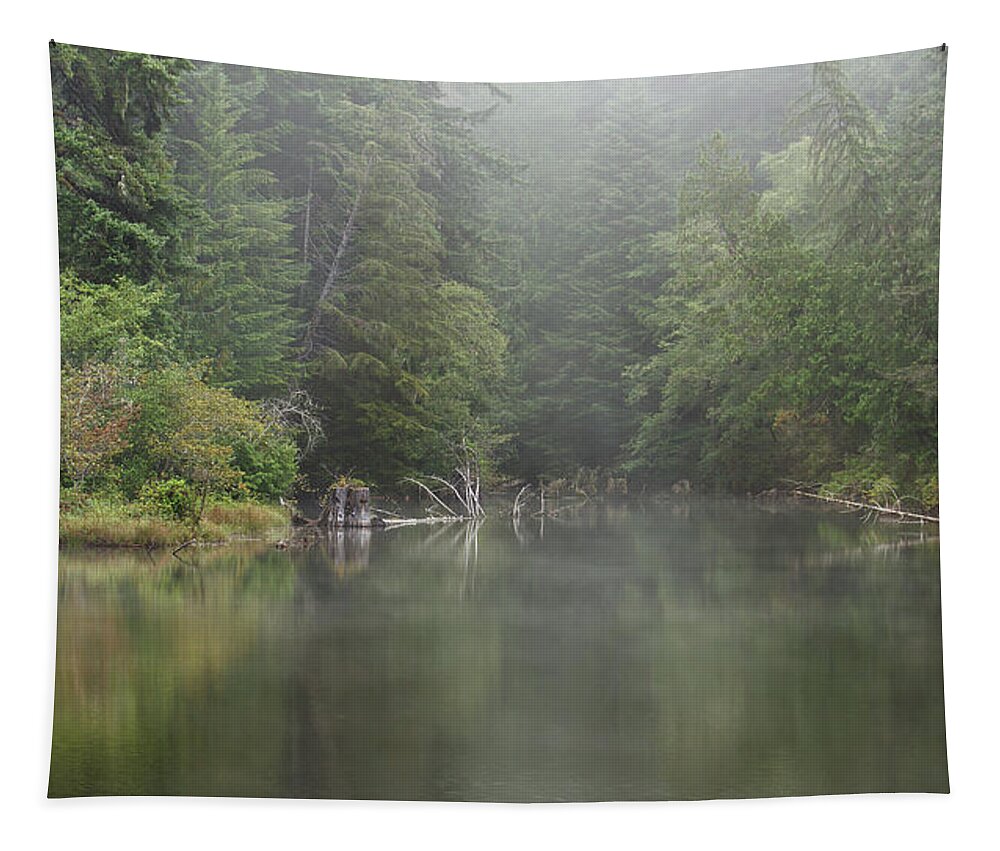 Fall Color Tapestry featuring the photograph Foggy Morning by Cheryl Day