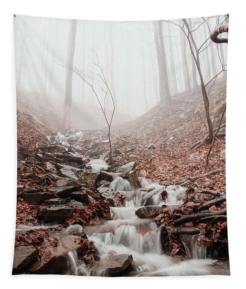Foggy Tapestry featuring the photograph Foggy morning in a deciduous forest by Vaclav Sonnek