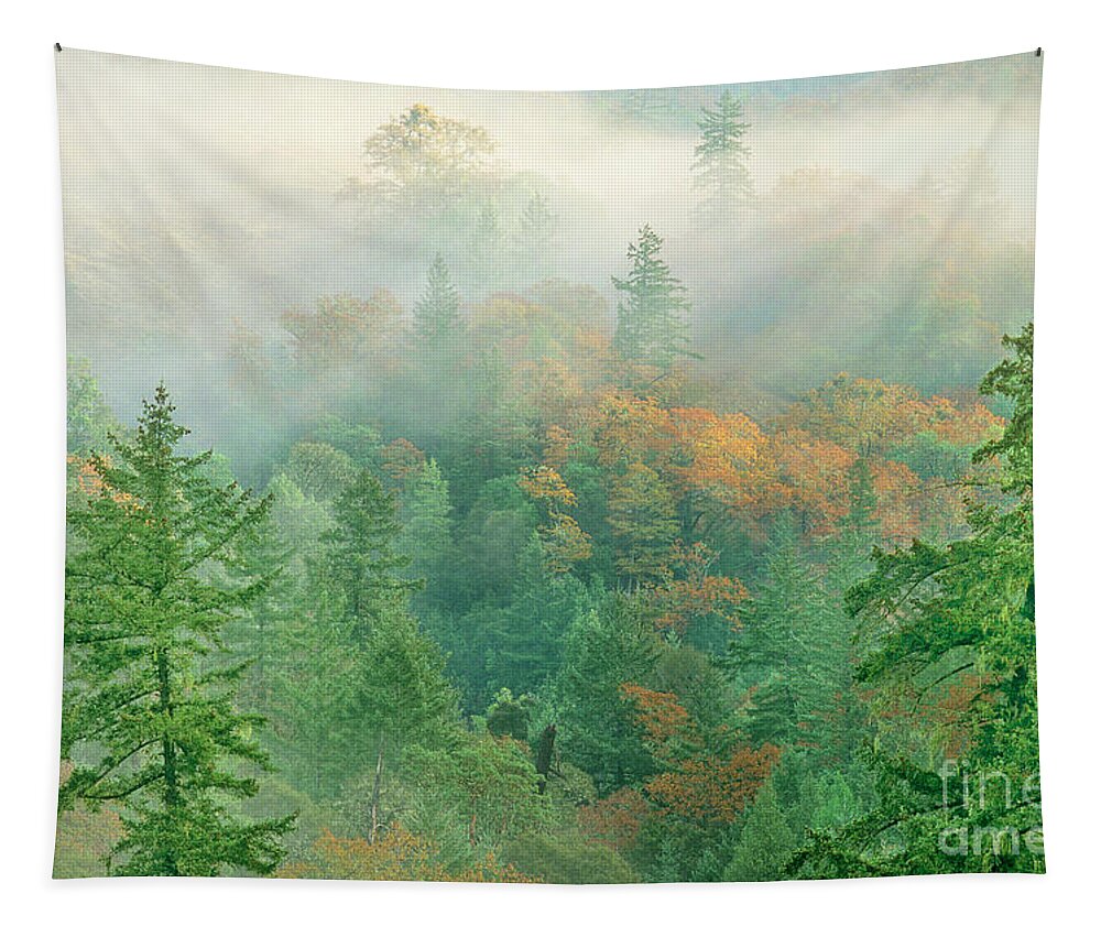 Dave Welling Tapestry featuring the photograph foggy morning in Humbolt County California by Dave Welling