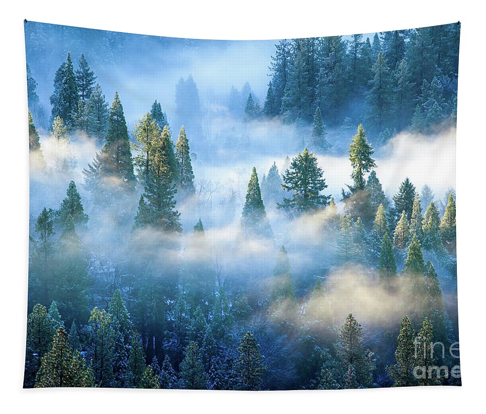 Forest Tapestry featuring the photograph Foggy Morning in the Forest by Leslie Wells