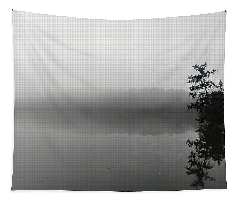  Tapestry featuring the photograph Foggy Morning Tree by Brad Nellis