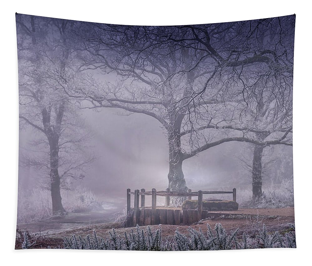 Landscape Tapestry featuring the photograph Foggy point of view by Chris Boulton