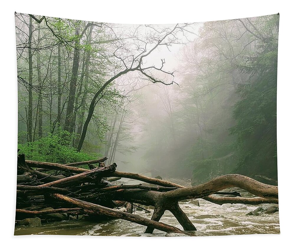 River Tapestry featuring the photograph Foggy River by Brad Nellis