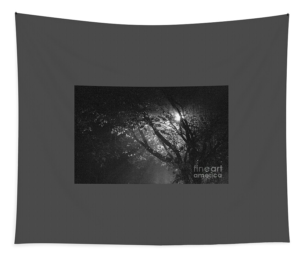 Fog Tapestry featuring the photograph Foggy Tree by Kimberly Furey