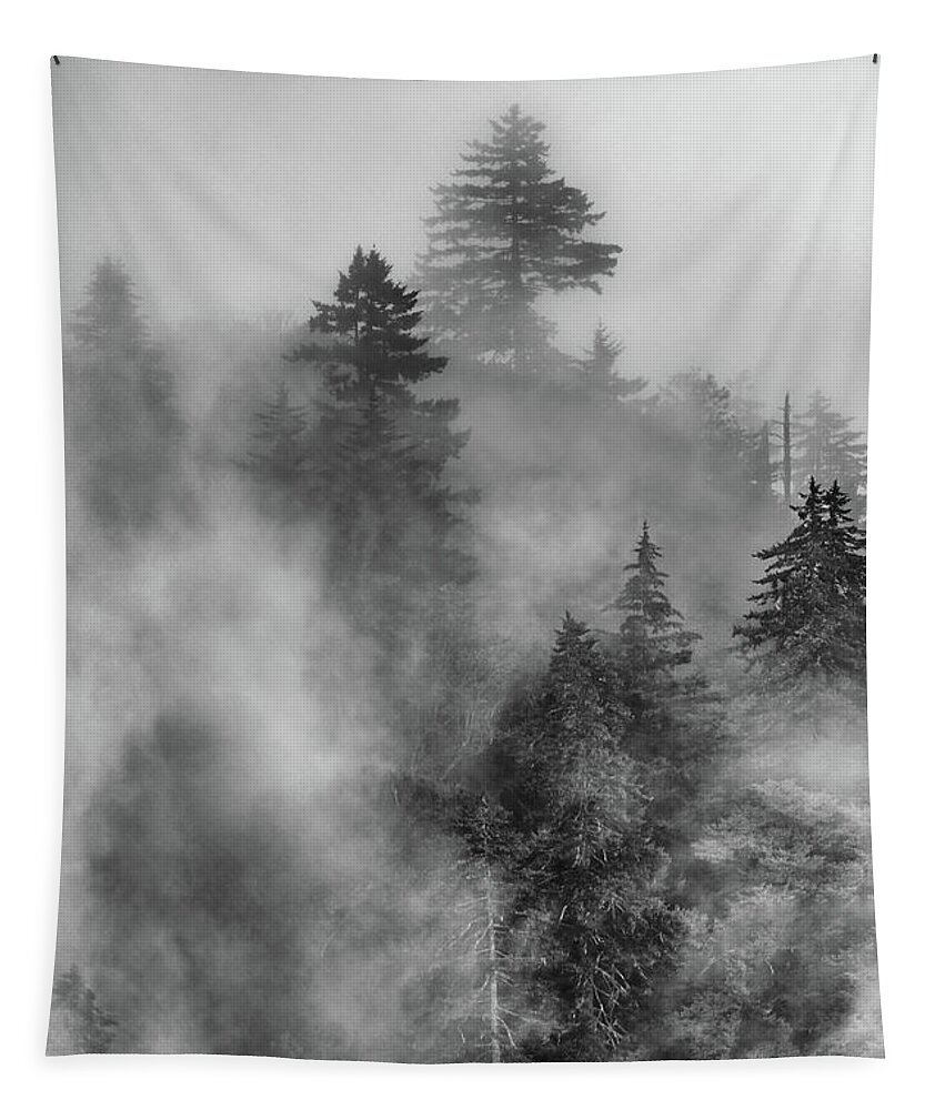 Woods Tapestry featuring the photograph Fog's Rolling by Nicki McManus