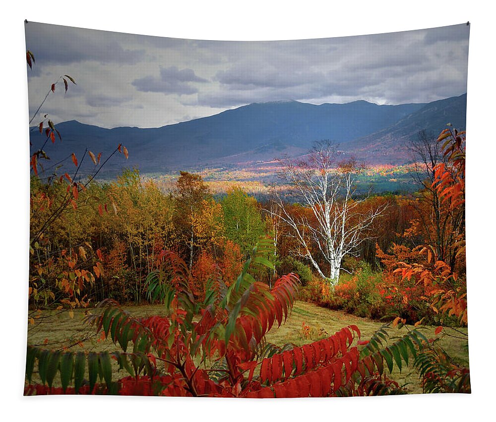 Lwhite Mountains Tapestry featuring the photograph Foliage Galor from Sugar Hill New Hampshire by Nancy Griswold