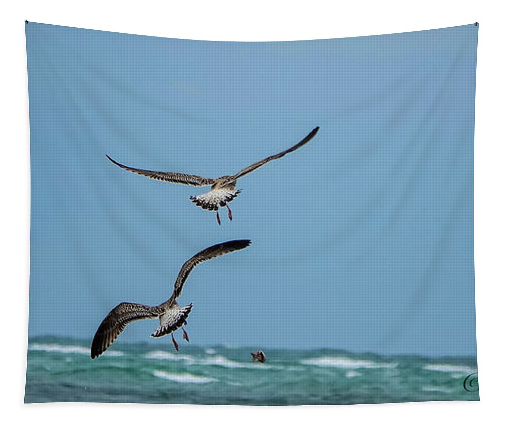 Bird Tapestry featuring the photograph Food Fight Two by Shawn M Greener