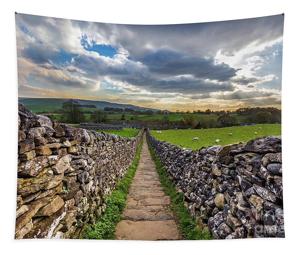 Uk Tapestry featuring the photograph Footpath To The Falls, Grassington by Tom Holmes Photography