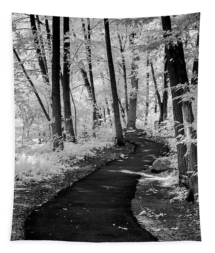 B&w Tapestry featuring the photograph Forbidden Woods Vertical by Anthony Sacco