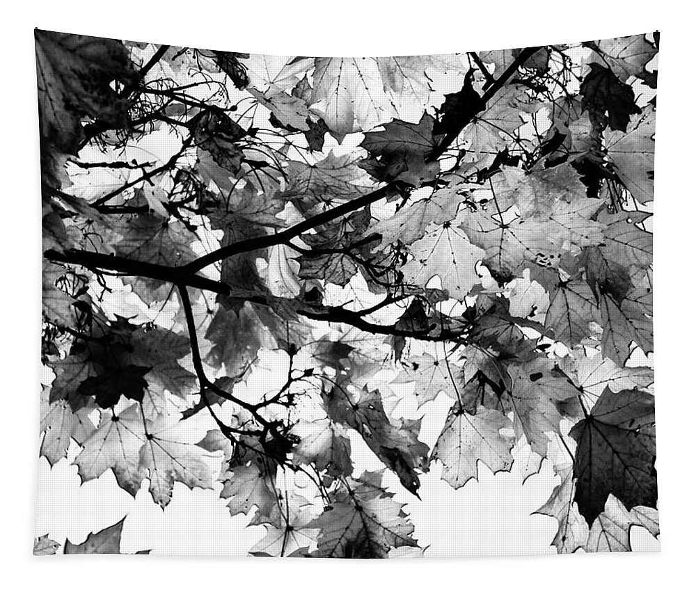 Black Tapestry featuring the photograph Forest abstraction by Robert Grac
