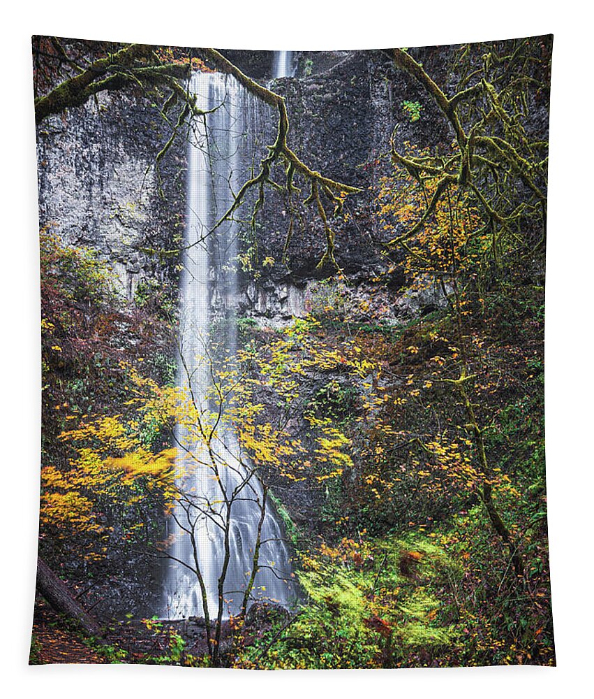 Forest Tapestry featuring the photograph Forest Falls by Ryan Weddle