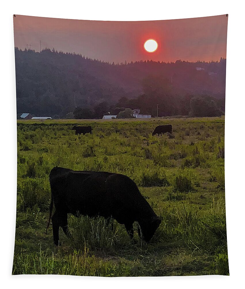 Forest Tapestry featuring the photograph Forest Fire Haze by Grey Coopre