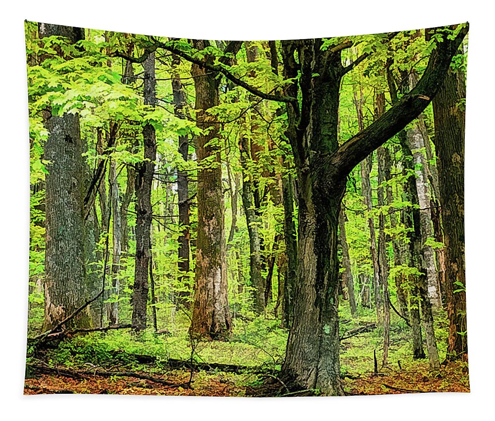 Mountains Tapestry featuring the photograph Forest Floor Spring Trees fx 503 by Dan Carmichael