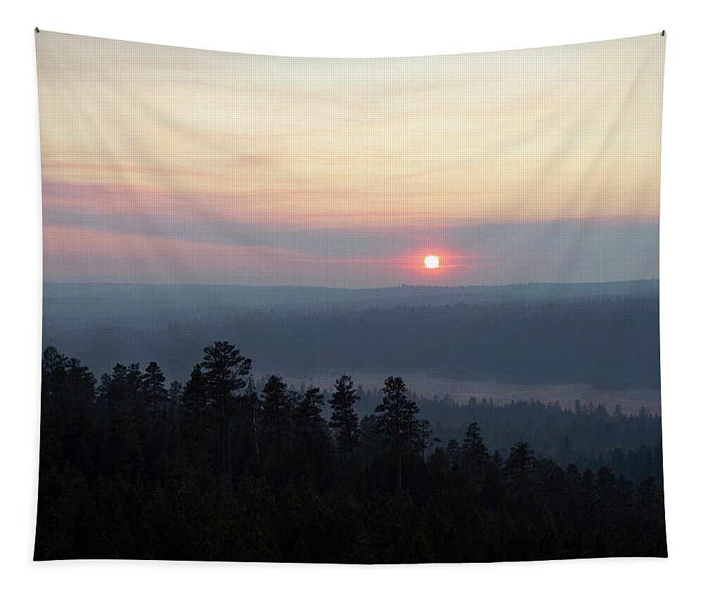 Oregon Tapestry featuring the photograph Forest Haze by Steven Clark