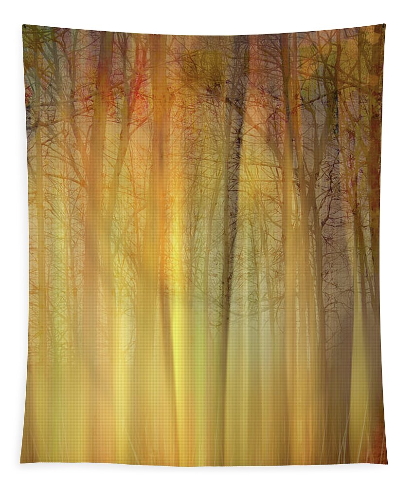Photography Tapestry featuring the digital art Forest Magic by Terry Davis