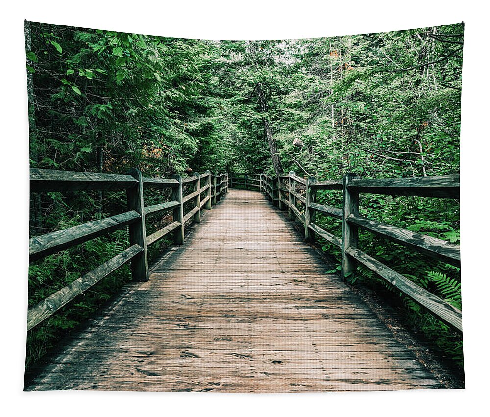 Forest Pathway Tapestry featuring the photograph Forest Pathway by Dan Sproul