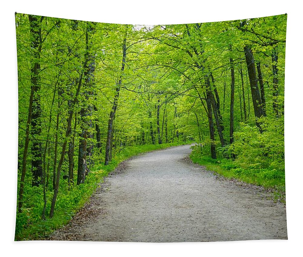 Forest Tapestry featuring the photograph Forest Road by Susan Rydberg