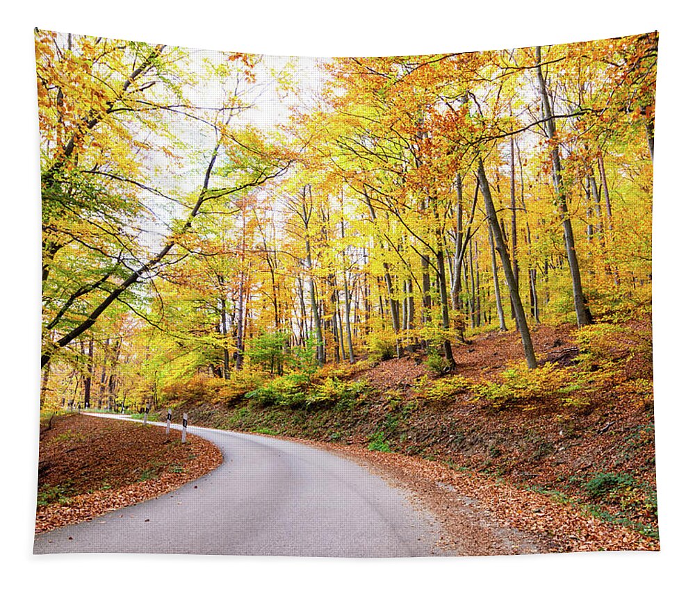 Landscape Tapestry featuring the photograph Forest serpentine road in autumn by Viktor Wallon-Hars