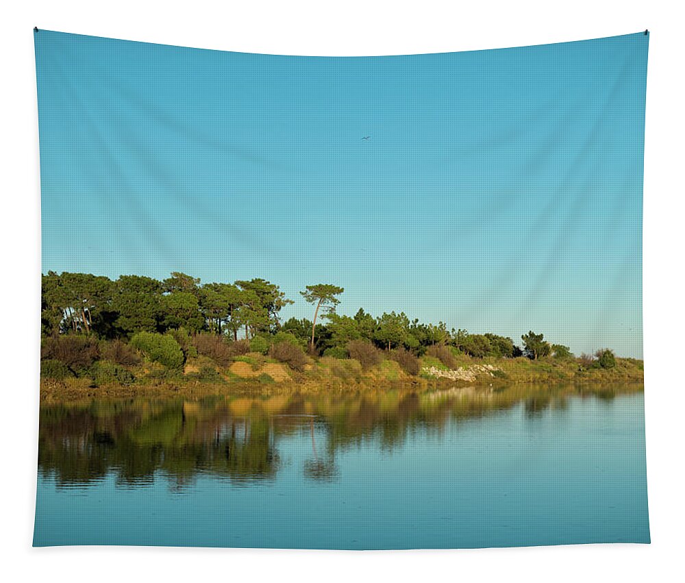 Lake Tapestry featuring the photograph Forests Mirror by Angelo DeVal