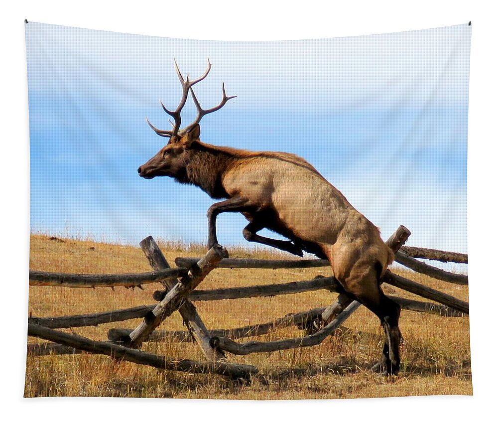 Elk Tapestry featuring the photograph Forever Free by Karen Shackles