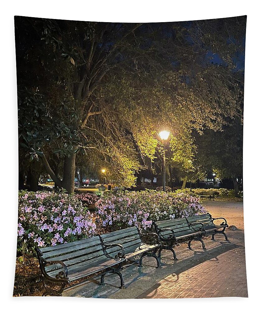 Park Tapestry featuring the photograph Forsyth Benches by Barbara Von Pagel