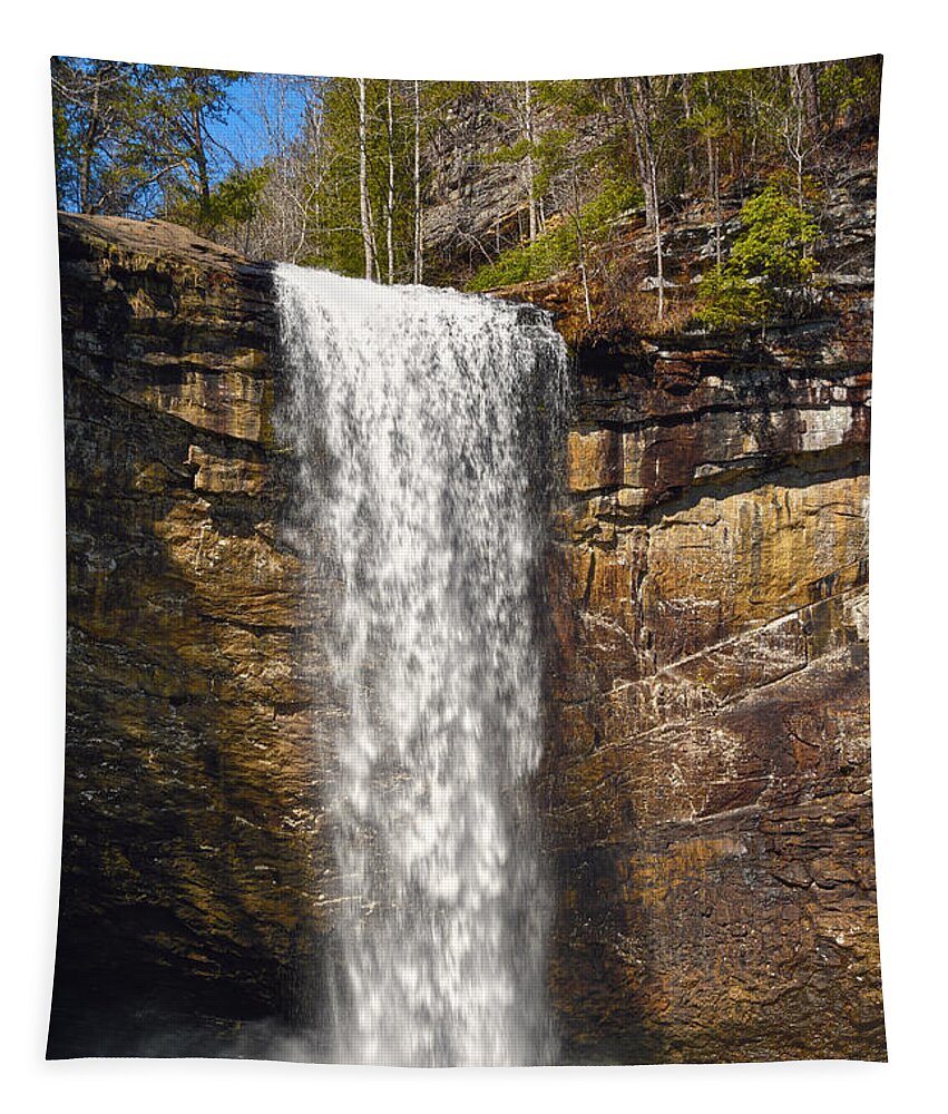 Foster Falls Tapestry featuring the photograph Foster Falls 2 by Phil Perkins