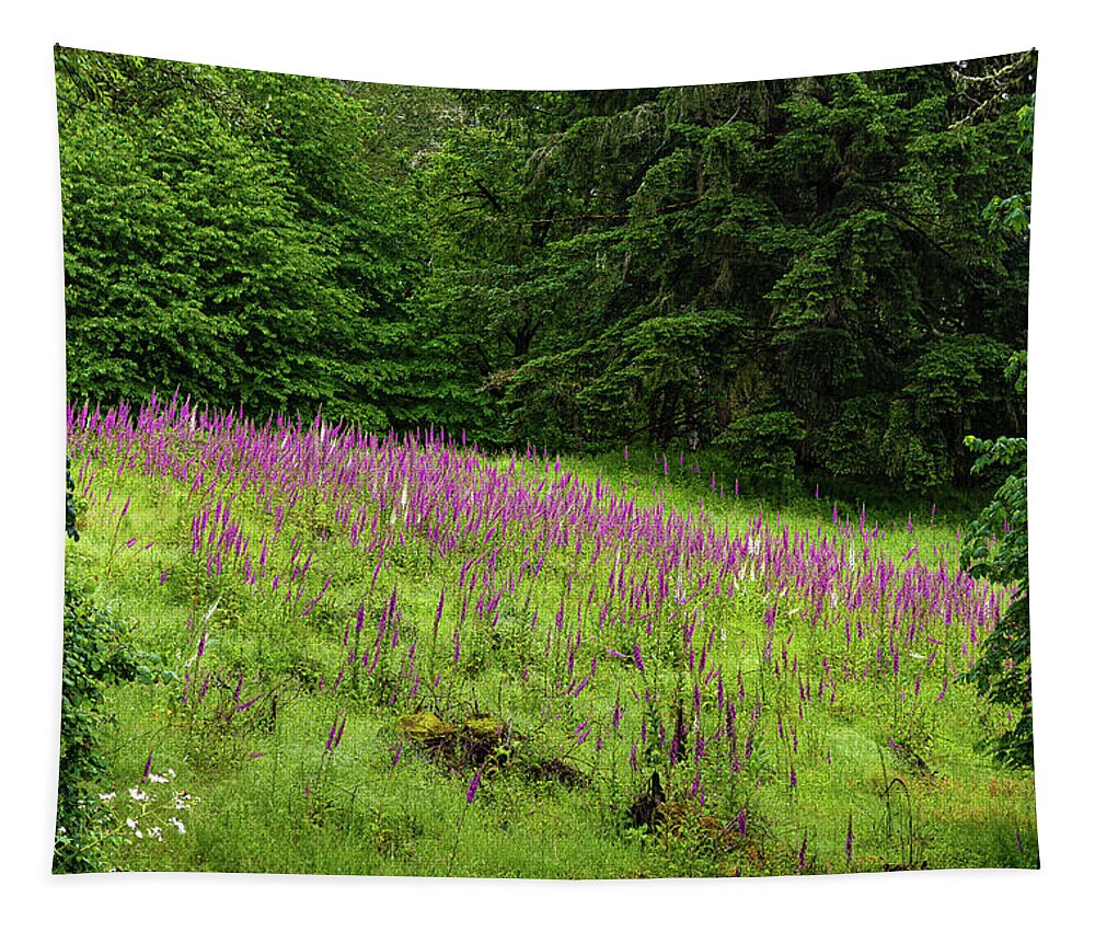 Foxgloves Tapestry featuring the photograph Foxgloves in the clearing by Ulrich Burkhalter