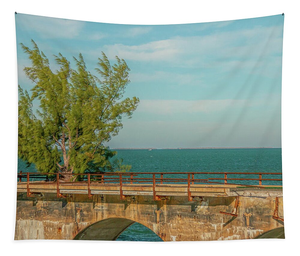 7 Mile Bridge Tapestry featuring the photograph Fred Of Seven Mile Bridge by Kristia Adams