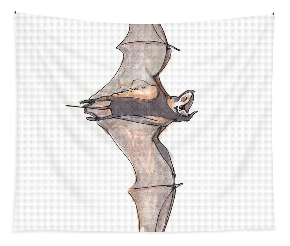 Bat Tapestry featuring the drawing Free-tailed Bat by Abby McBride
