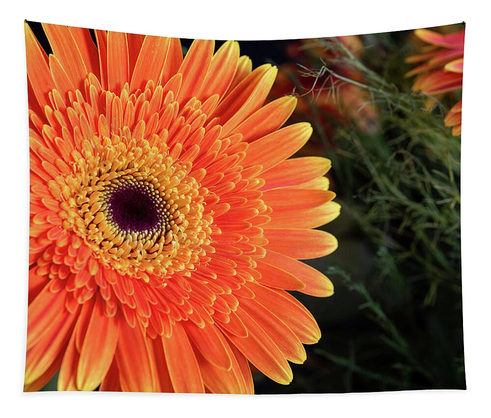 Gerbera Jamesonii Tapestry featuring the photograph Fresh blooming Daisy flower  by Michalakis Ppalis