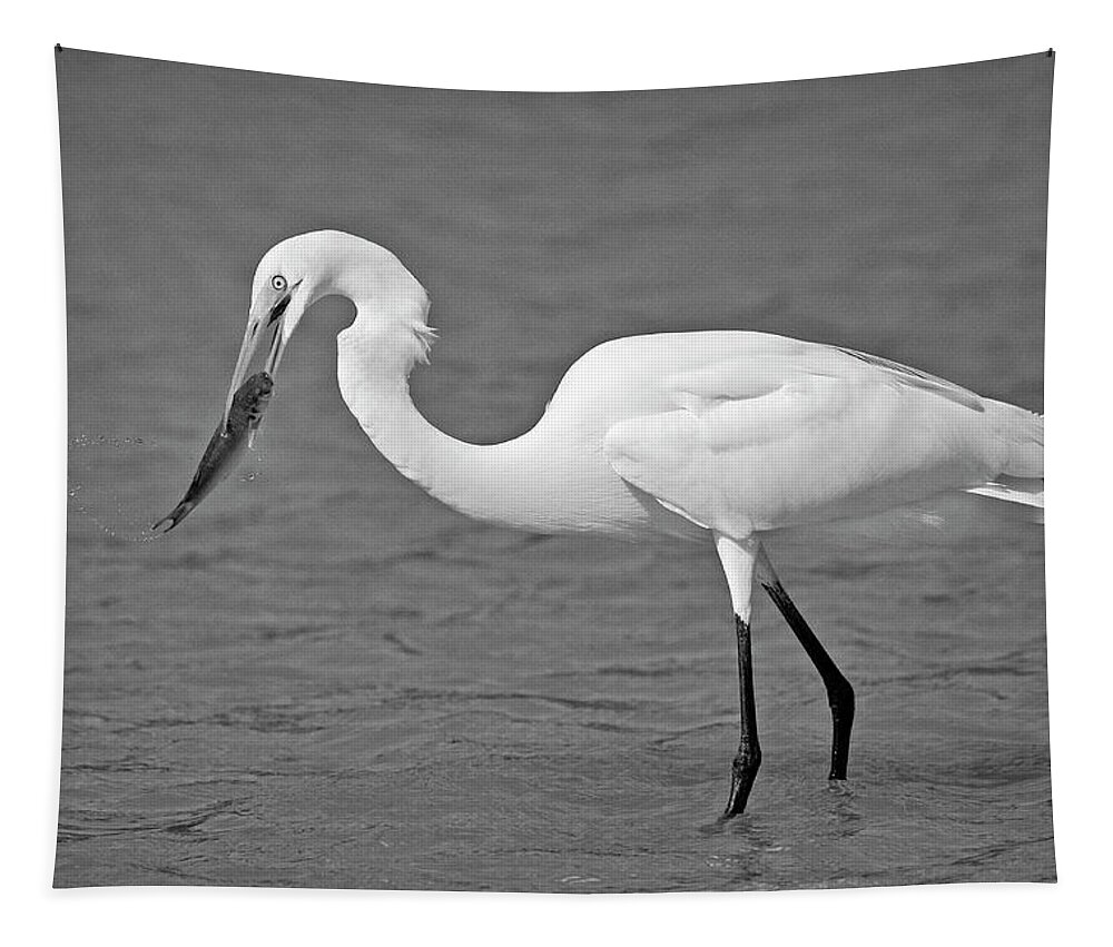 Egret Tapestry featuring the photograph Fresh Catch Of The Day by Susan Candelario