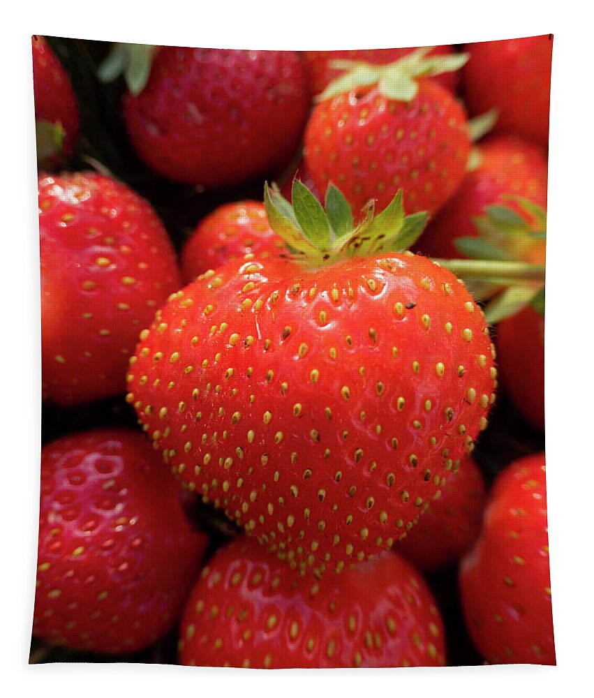 Strawberries Tapestry featuring the photograph Fresh Strawberries by Karen Rispin