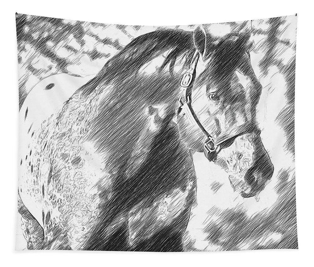 Appaloosa Tapestry featuring the digital art Friendly Appaloosa horse - pencil sketch effect by Nicko Prints