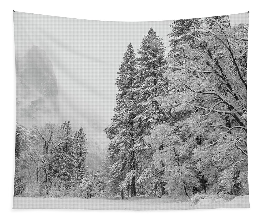 Landscape Tapestry featuring the photograph Frigid by Jonathan Nguyen