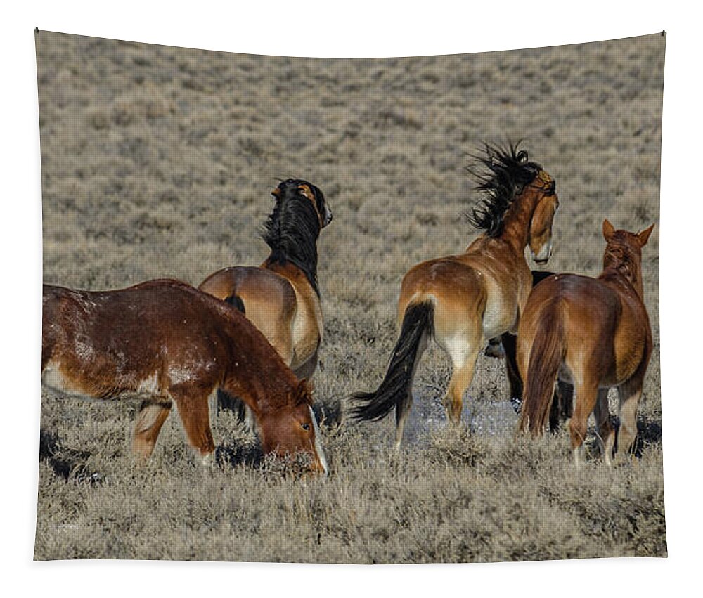 Wild Horses Tapestry featuring the photograph Frisky Mustangs by Yeates Photography