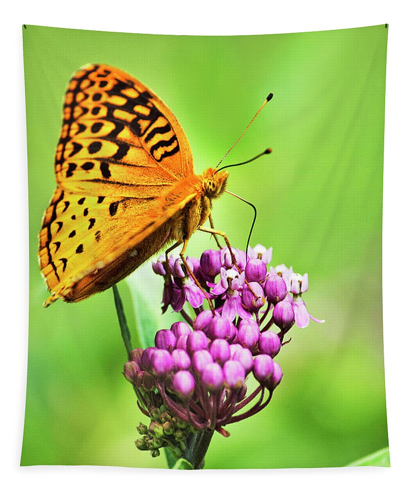 Butterfly Tapestry featuring the photograph Fritillary Butterfly and Flower by Christina Rollo