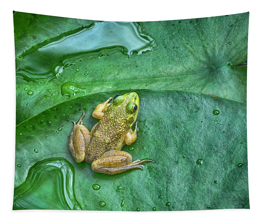 Frog Tapestry featuring the photograph Frog on a Pad by WAZgriffin Digital