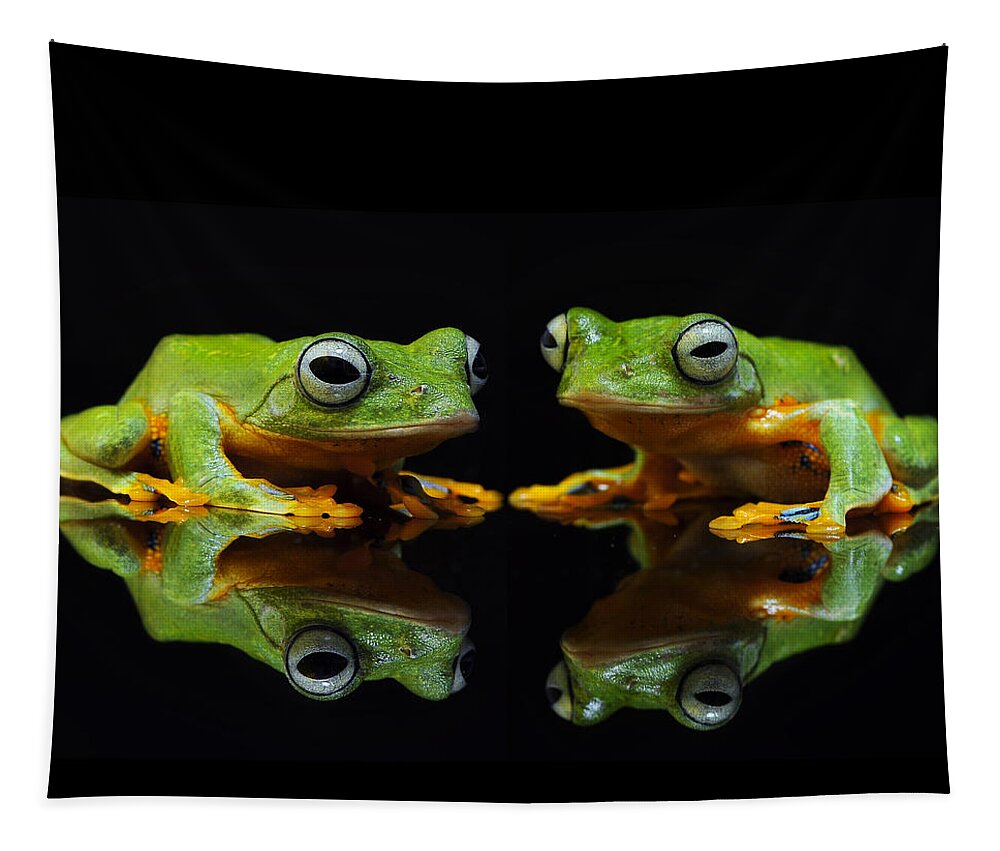 Frogs Tapestry featuring the photograph Frogs In the Dark by World Art Collective