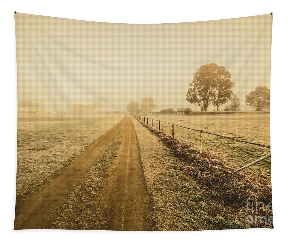 Outback Tapestry featuring the photograph Frosted road in outback Australia by Jorgo Photography
