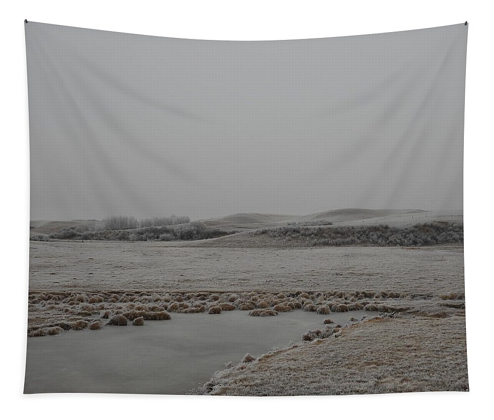 North Dakota Tapestry featuring the photograph Frosty Creek by Amanda R Wright