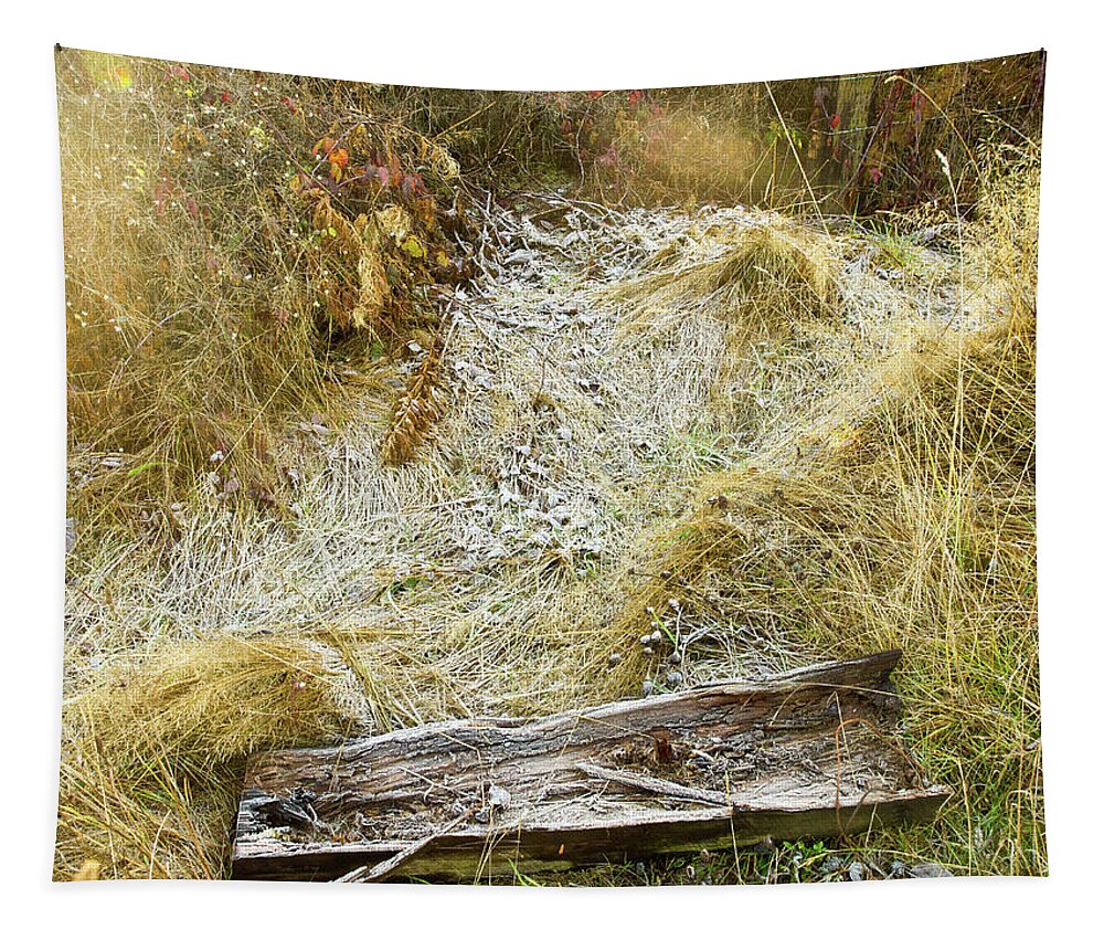 Dungeness River Tapestry featuring the digital art Frosty Grass by David Desautel