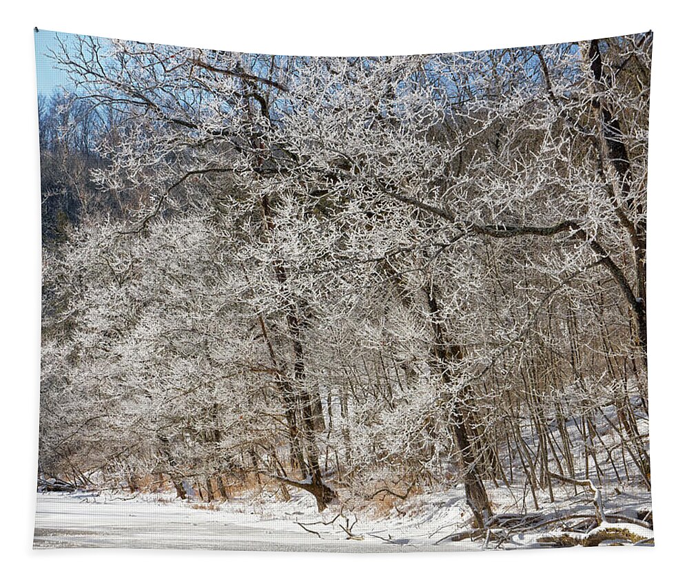Winter Tapestry featuring the photograph Frosty trees at Falling Spring Mill by Robert Charity