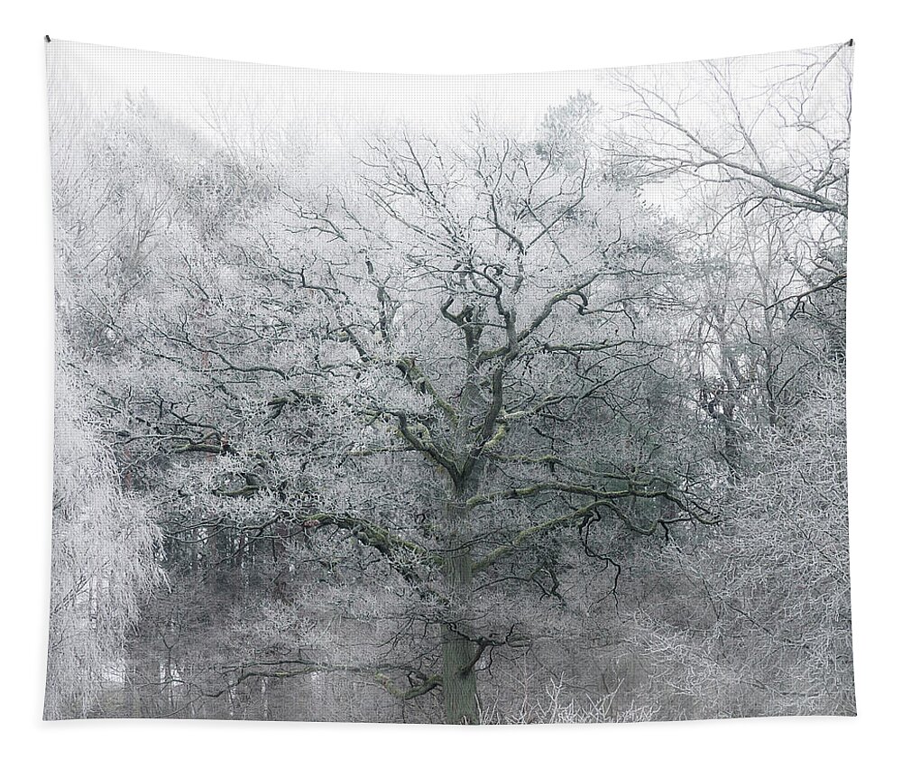 Winter Tapestry featuring the photograph Frosty Winter Tree by Nicklas Gustafsson