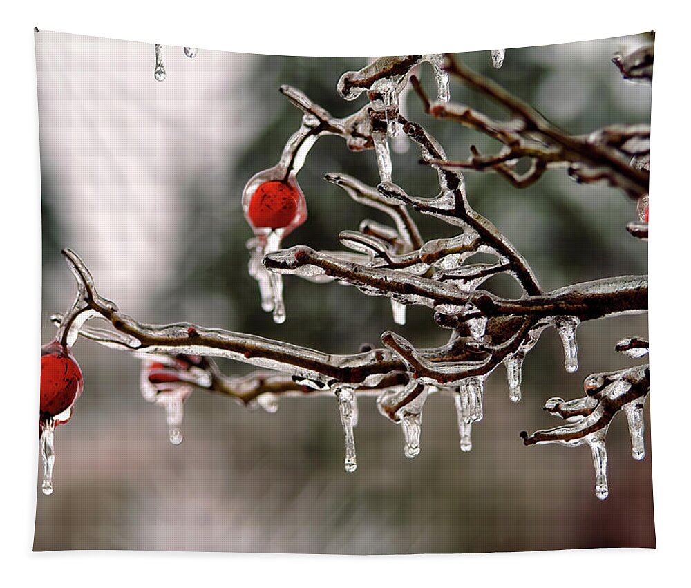 Winter Tapestry featuring the photograph Frozen Apples by Larey McDaniel