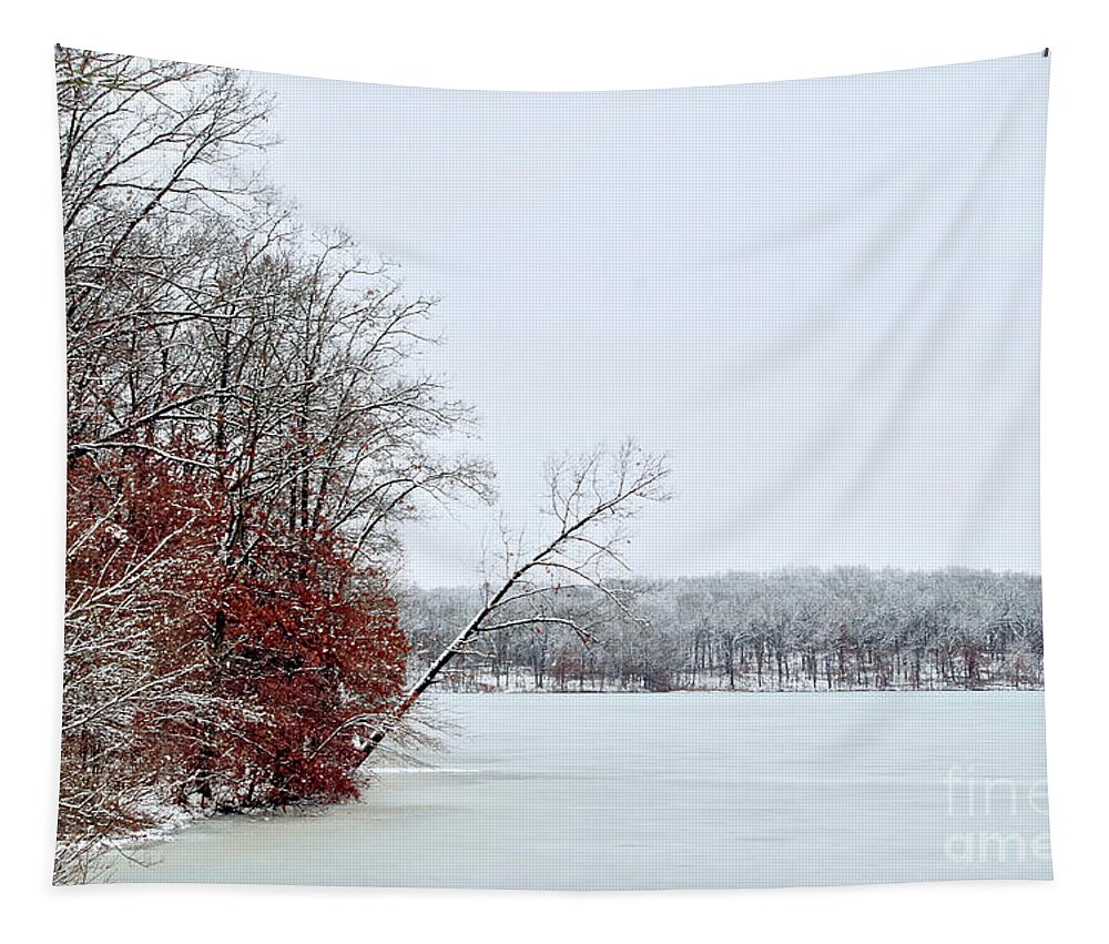 Lake Tapestry featuring the photograph Frozen Blue Lake by Randy Pollard