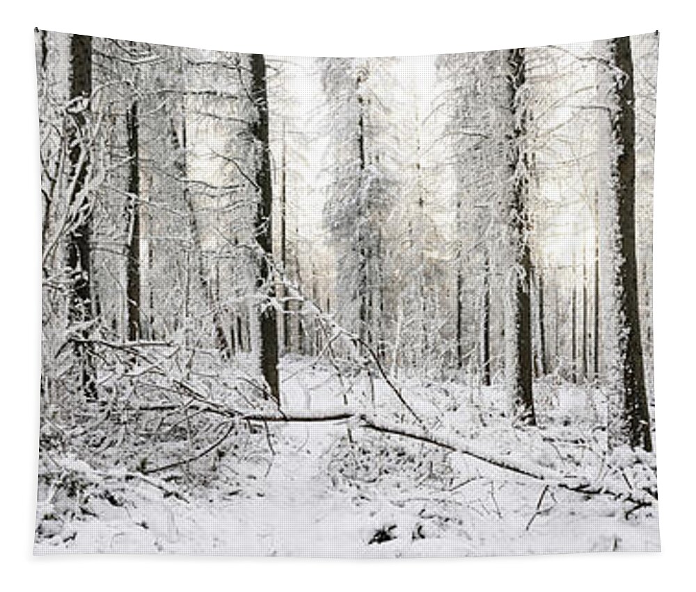 Panorama Tapestry featuring the photograph Frozen English Woodland covered in Snow by Sonny Ryse