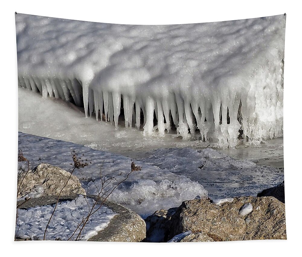 Frozen Tapestry featuring the photograph Frozen Lake Water by Scott Olsen