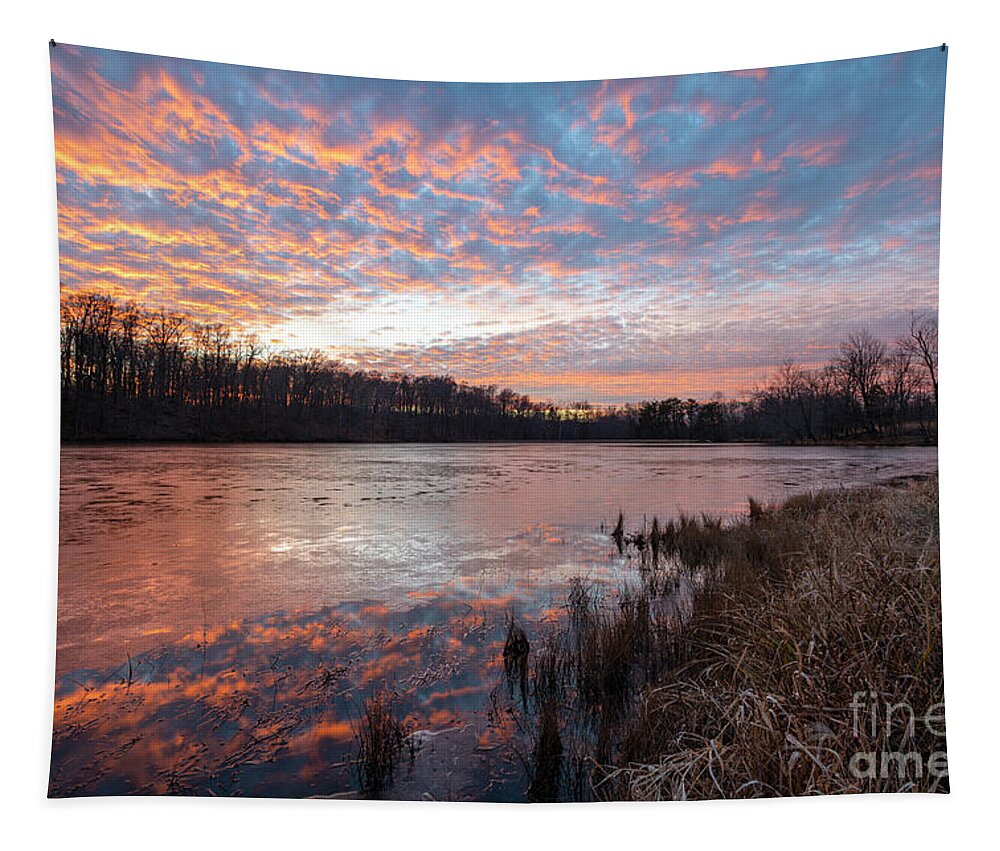 Winter Tapestry featuring the photograph Frozen Reflection - D010954 by Daniel Dempster